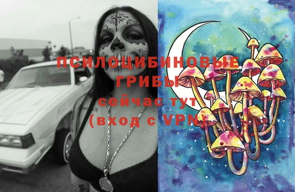 винт Ельня