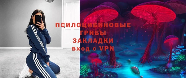 винт Ельня