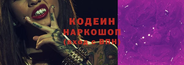 винт Ельня
