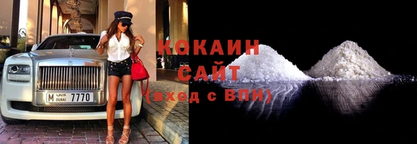винт Ельня