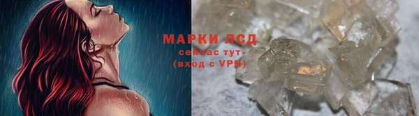 винт Ельня