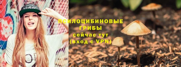 винт Семилуки