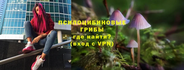 винт Ельня
