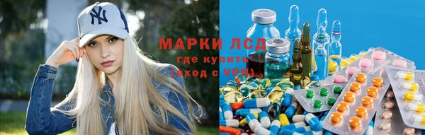 винт Ельня