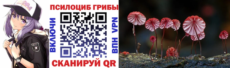 Галлюциногенные грибы Psilocybine cubensis  Свободный 