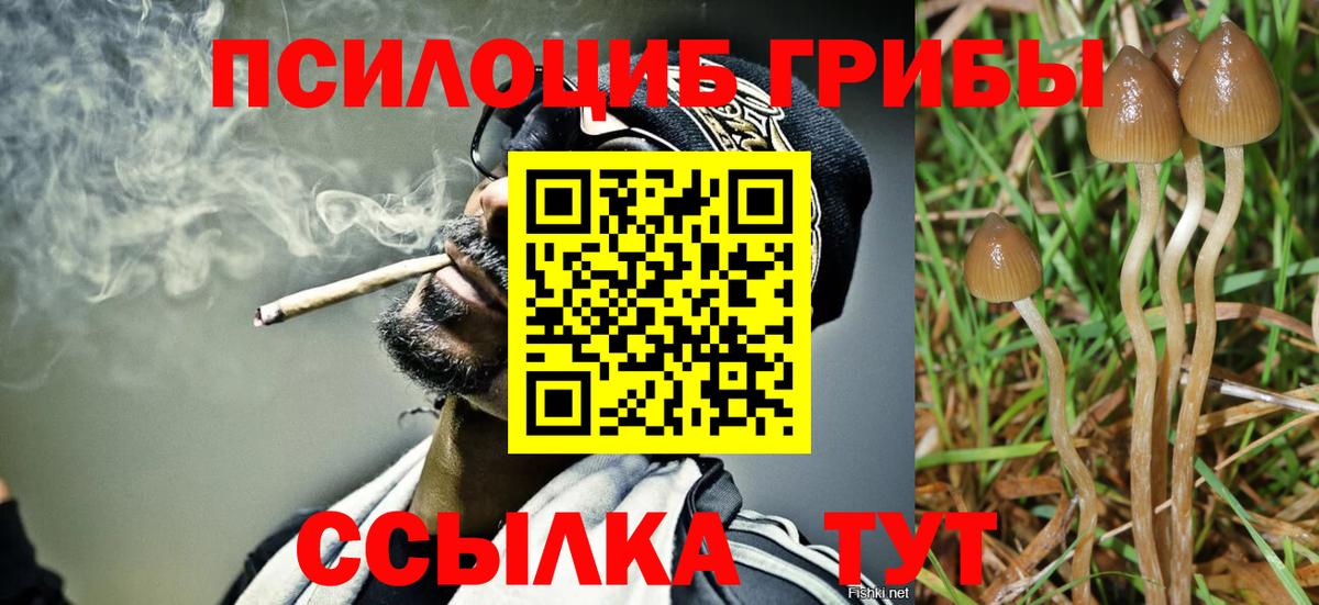 купить наркотики сайты  Галлюциногенные грибы Psilocybe  Псилоцибиновые грибы ЛСД  Вход с VPN  Свободный 