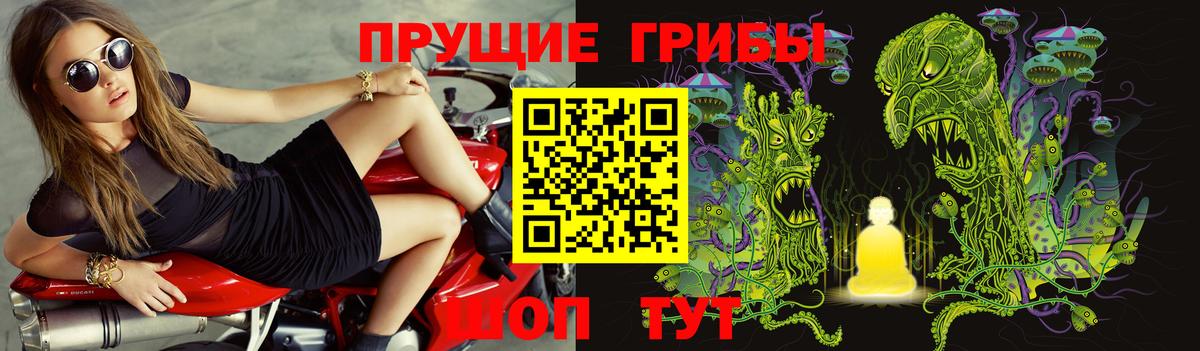 Псилоцибиновые грибы прущие грибы Свободный