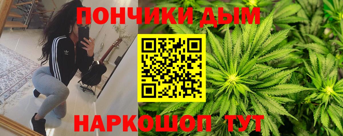 Бошки марихуана Bruce Banner Свободный